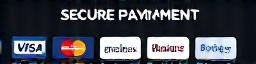 Moyens de paiement sécurisés